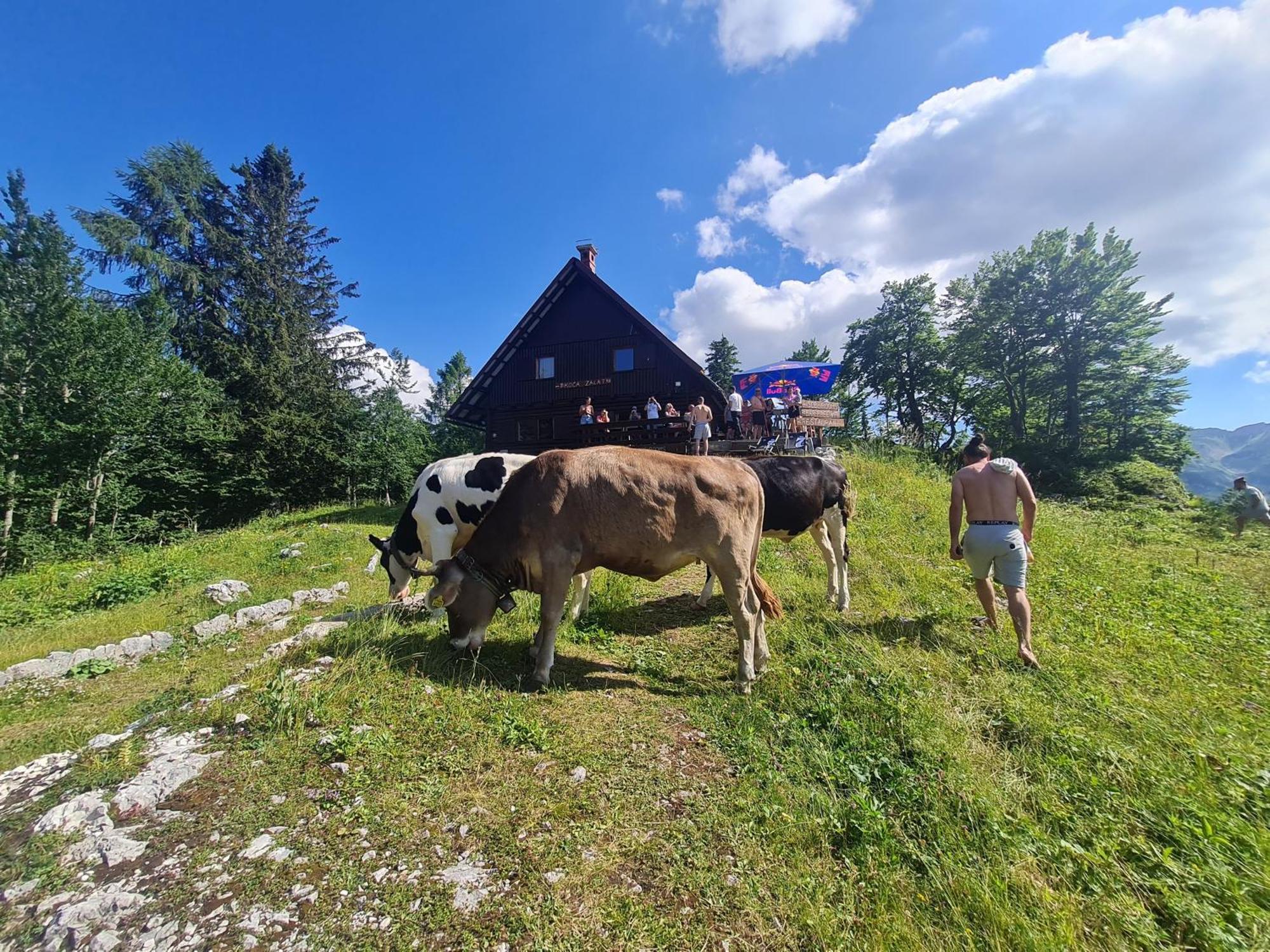 Chalet Burja At Vogel Mountain - Cable Car Access Or Hiking - Not Reachable With Car Bohinji-tó Kültér fotó